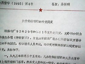 （1993年）山西临汾汾河制药厂：《关于停薪留职的补充规定》