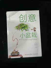 创意小盆栽