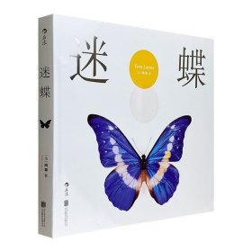 蝴蝶标本大赏《迷蝶：赏自然之大美·探生命之秘境》12开精装，铜版纸全彩，法国著名摄影师40年收集蝴蝶标本的结晶。精美照片+局部放大，展现微距镜头下蝴蝶的极致之美