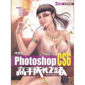 中文版Photoshop CS6高手成长之路