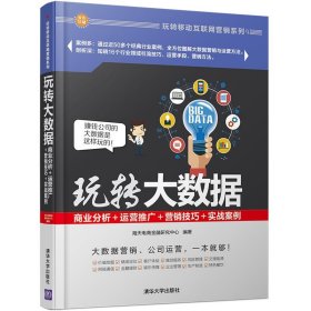 玩转大数据:商业分析＋运营推广＋营销技巧＋实战案例