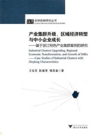 產(chǎn)業(yè)集群升級(jí)、區(qū)域經(jīng)濟(jì)轉(zhuǎn)型與中小企業(yè)成長(zhǎng)