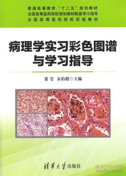 病理学实习彩色图谱与学习指导/普通高等教育“十二五”规划教材