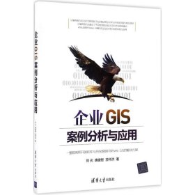 企业GIS案例分析与应用