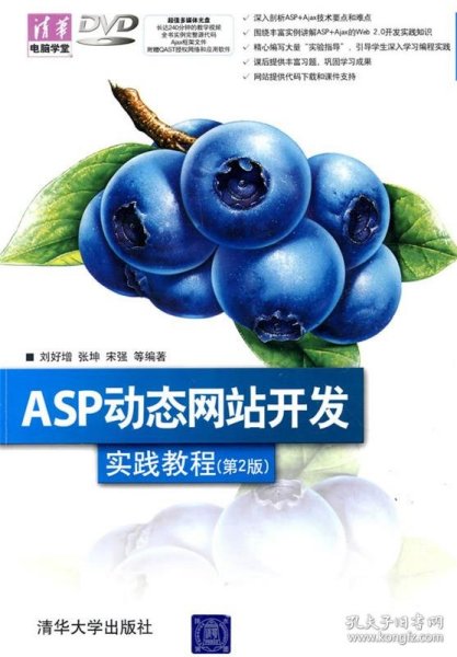 ASP动态网站开发实践教程（第2版）