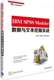 IBM SPSS Modeler数据与文本挖掘实战