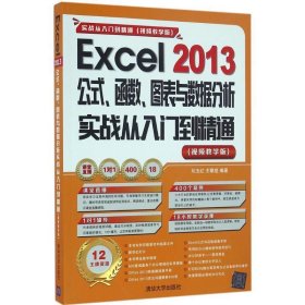 Excel 2013公式、函数、图表与数据分析实战从入门到精通