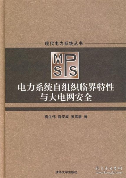 电力系统自组织临界特性与大电网安全