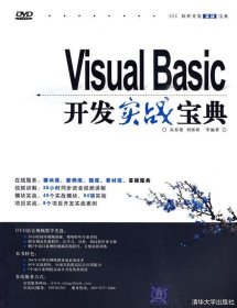 Visual Basic开发实战宝典