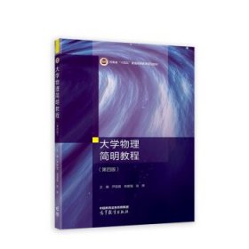 大学物理简明教程