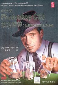 中文版Photoshop CS5技法精粹：以假乱真的艺术（第6版）