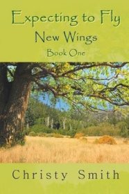 现货Expecting to Fly: New Wings - Book One[9781681810454]