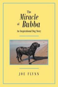 现货The Miracle of Bubba[9781642149944]