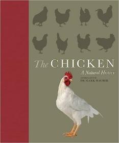 现货The Chicken: A Natural History[9781937994037]