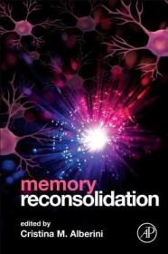 现货 Memory Reconsolidation [9780123868923]