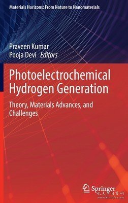 现货Photoelectrochemical Hydrogen Generation: Theory, Materials Advances, and Challenges (2022)[9789811672842]