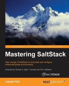 现货Mastering SaltStack[9781785282164]