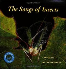 现货The Songs of Insects [With CD][9780618663972]