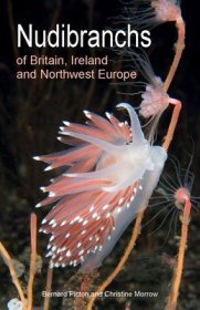 现货Nudibranchs of Britain, Ireland and Northwest Europe: Second Edition[9780691208794]