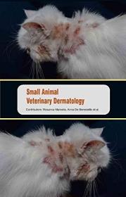 现货Small Animal Veterinary Dermatology[9781785696695]