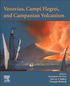 现货 Vesuvius, Campi Flegrei, And Campanian Volcanism [9780128164549]