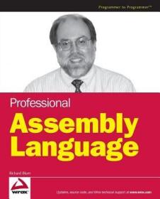 Professional Assembly Language