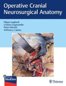 现货 Operative Cranial Neurosurgical Anatomy [9781626232167]