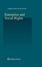 现货Enterprise and Social Rights[9789041182340]