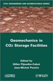 现货 Geomechanics in Co2 Storage Facilities[9781848214163]