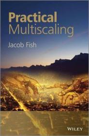 现货 Practical Multiscaling[9781118410684]