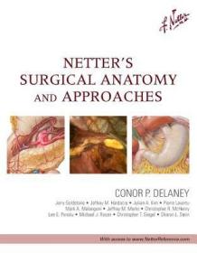 Netter's Surgical Anatomy and Approaches