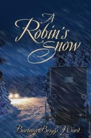 現(xiàn)貨 A Robin's Snow [9781627874878]