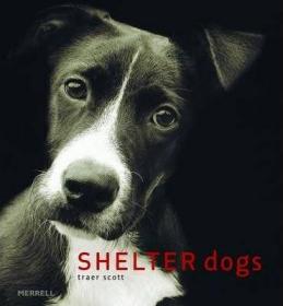 现货Shelter Dogs[9781858944982]