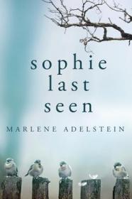 现货Sophie Last Seen[9781948051187]