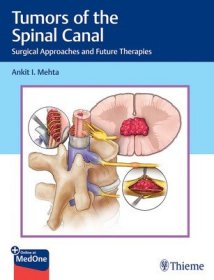 现货Tumors of the Spinal Canal: Surgical Approaches and Future Therapies[9781626239319]