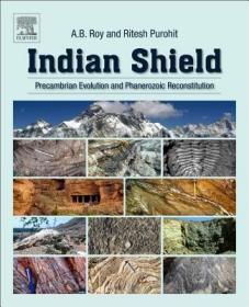 现货 Indian Shield: Precambrian Evolution And Phanerozoic Reconstitution [9780128098394]