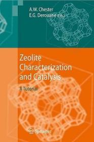 现货 Zeolite Characterization And Catalysis: A Tutorial [9781402096778]