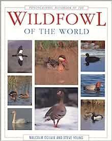 现货Photographic Handbook of the Wildfowl of the WOR[9781853686252]