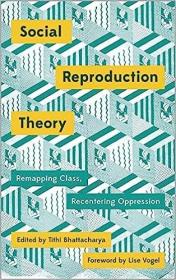 现货Social Reproduction Theory: Remapping Class, Recentering Oppression[9780745399881]