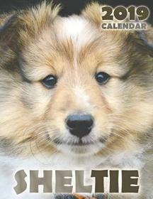 现货Sheltie 2019 Calendar[9781642521016]