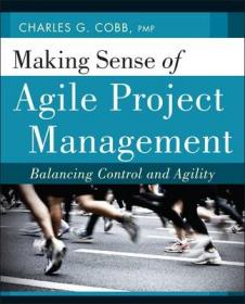现货Making Sense of Agile Project Management[9780470943366]