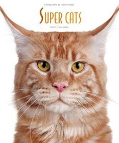 现货Super Cats[9788854406940]