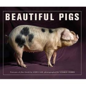 现货Beautiful Pigs /anglais[9780711230590]