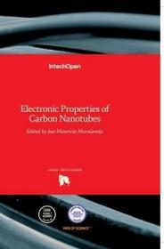 现货 Electronic Properties of Carbon Nanotubes[9789533074993]