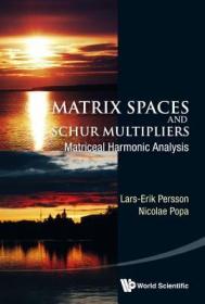 现货Matrix Spaces and Schur Multipliers: Matriceal Harmonic Analysis[9789814546775]