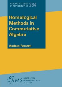 现货 Homological Methods in Commutative Algebra : 234