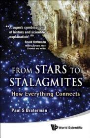 现货 From Stars To Stalagmites: How Everything Connects [9789814324977]