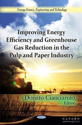 现货 Improving Energy Efficiency & Greenhouse Gas Reduction in the Pulp & Paper Industry (UK)[9781614707011]