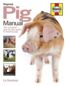 现货Pig Manual: The Complete Step-By-Step Guide to Keeping Pigs[9781785211010]