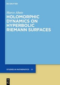现货Holomorphic Dynamics on Hyperbolic Riemann Surfaces[9783110601053]